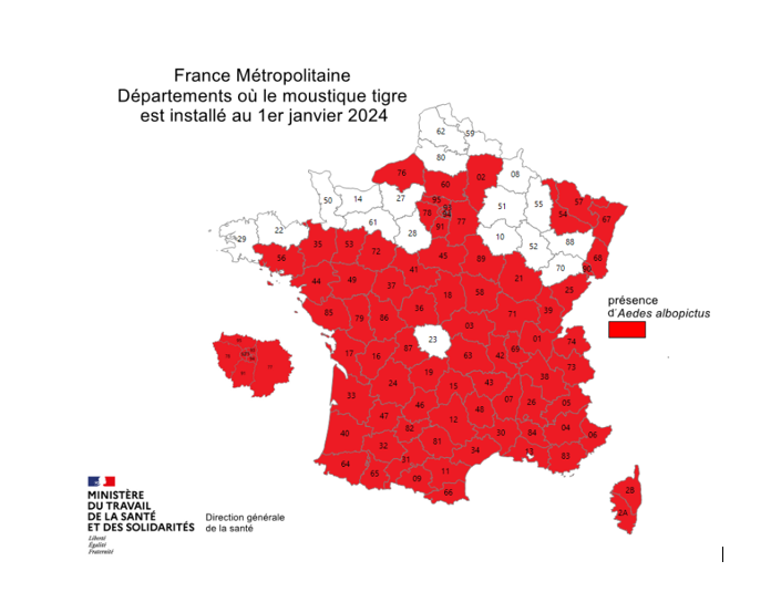carte-france-metropole-presence-du-moustique-tigre-01-janvier-2024