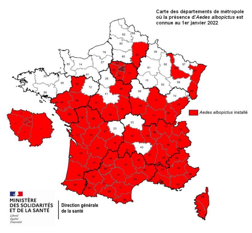 carte-france-metropole-presence-du-moustique-tigre-01-janvier-2022