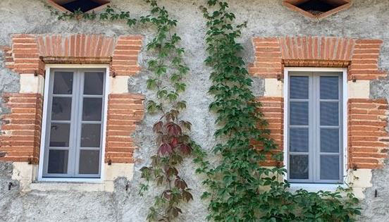 moustiquaire fenetre sur mesure